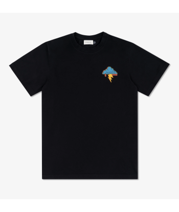 Футболка MANTO x Panku t-shirt EAGLE black фото