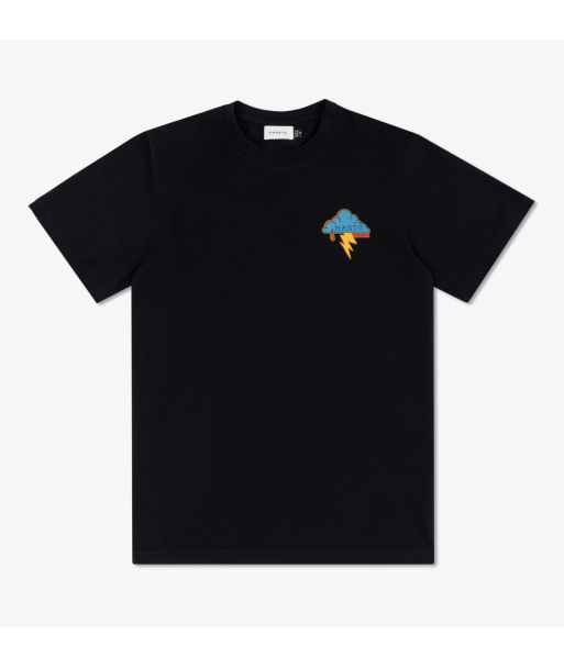 Футболка MANTO x Panku t-shirt EAGLE black фото