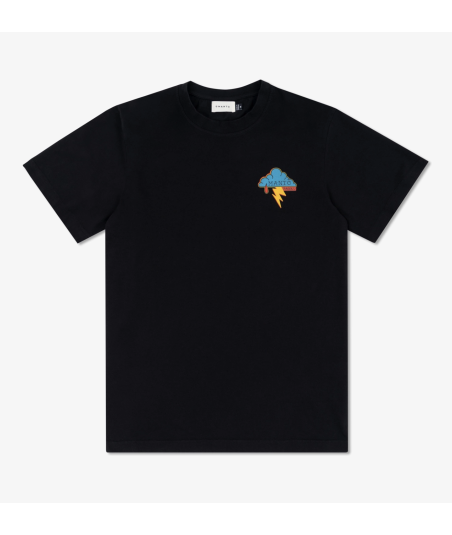 Футболка MANTO x Panku t-shirt EAGLE black фото