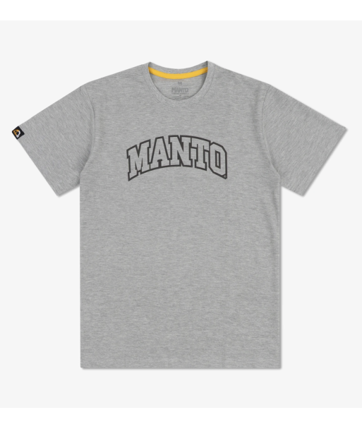 Футболка MANTO t-shirt VARSITY heather gray фото