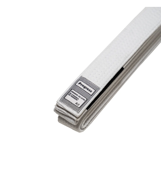Пояс Progress BJJ Belt White фото