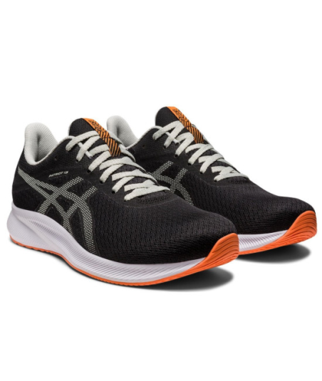 Кросівки Чоловічі Asics Patriot 13 Black/Light Sage  1011B485-004