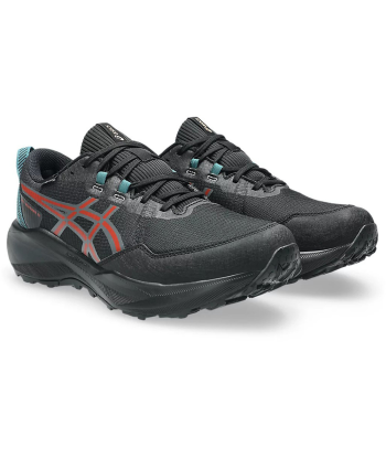 Кросівки Чоловічі ASICS GEL-VENTURE 11 WATERPROOF BLACK/SPICE LATTE 1011C159-001