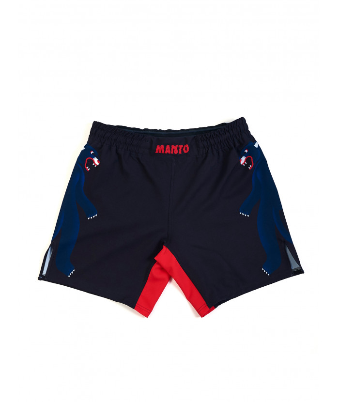 Шорты Manto fight shorts NIGHT OUT фото